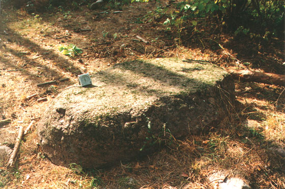 Камень в д. Пашевичи. Фото В. Ф. Винокурова (1999 год).