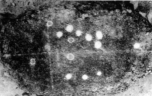 Прорисовка лунок на камне в Пашевичах (по Й. Вайшкунасу, 1994) [12].