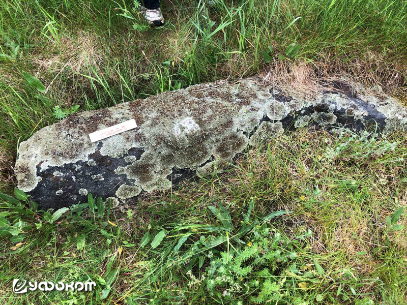 Камень с возможным солярным символом. Фото автора.