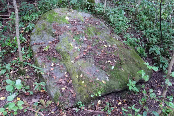 Рис. 12. Камень Велна папедис. Фото автора.