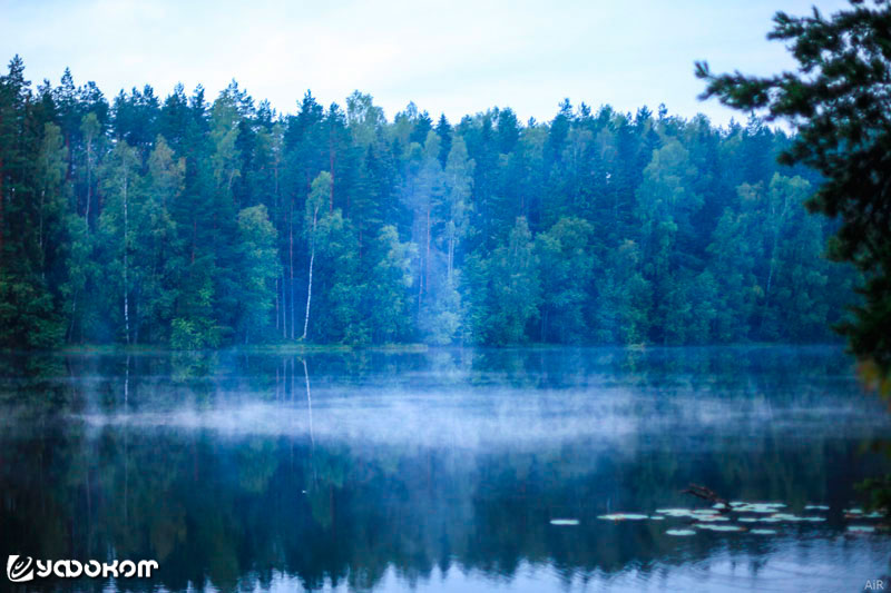 Туман над озером Ильгинья. Фото Евгения Шапошникова.