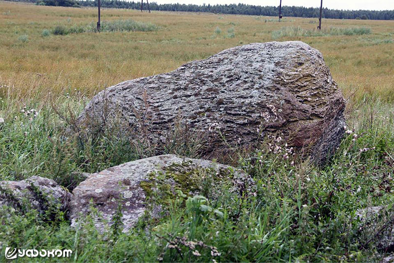 Заклятый камень (Печь) около д. Белевцы Миорского р-на Витебской обл. Фото И. Е. Климкович.