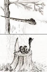 Зарисовка летящей по воздуху змеи (рис. А.А. Перепелицына).