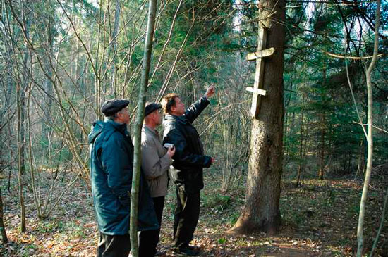 Крест с могилы российских солдат, погибших в Первую мировою войну. В 1988 году был найден лесниками в лесу под Крево Гродненской области и прибит на сосну. Сейчас дерево выросло, и крест поднялся почти на 2 метра. 