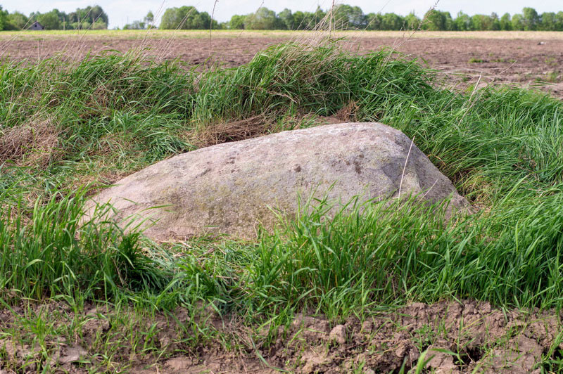 Камень у д. Селец. Фото А. Зайцева.