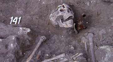 Захоронения вампиров в Болгарии: археологический сезон 2013