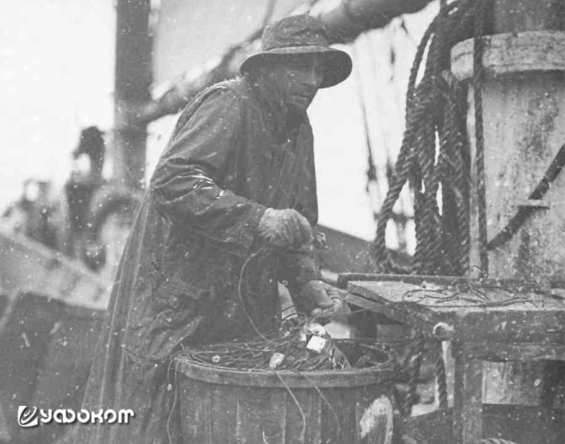 Работа с наживкой в снегопад на палубе рыболовной шхуны. Конец XIX века. 