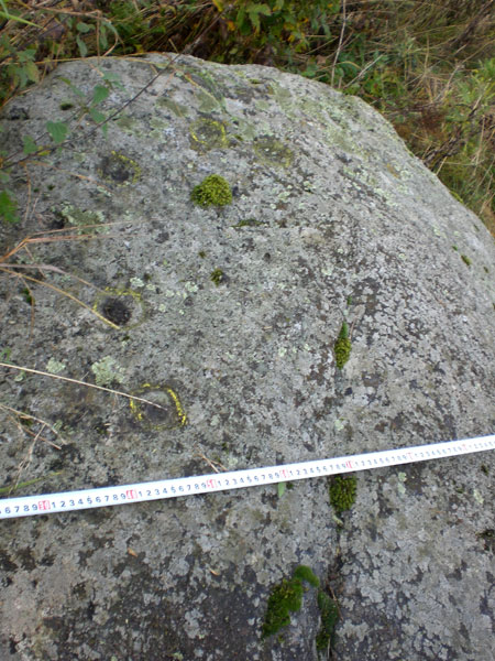 Рис. 4. 6 лунок на камне «у коровника» (вид с запада, выемки находятся на восточной стороне камня, фото В. Акулов, 2012).
