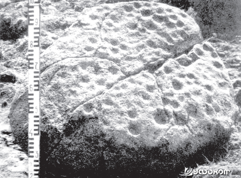 Рис. 5. Центральный камень городища Имбаре. Автор фото: В. Дугулис (1984) [33, с. 28].