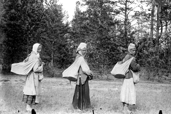 Женщины собирают грибы в д. Щитковичи (Стародорожский район, ранее – Бобруйский повет); из коллекции Исаака Сербова 1911–1912 гг.
