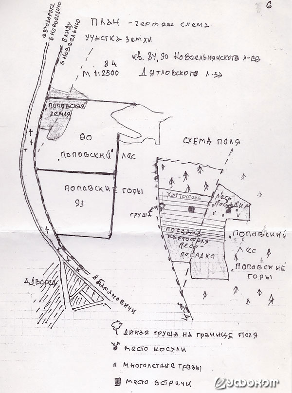 Схема участка, где произошла встреча с незнакомцами.