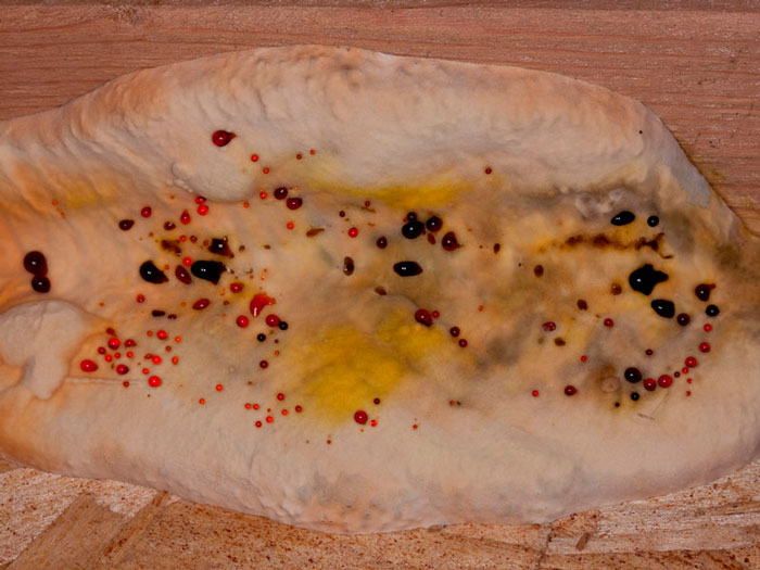 Домовая плесень серпула плачущая (Serpula lacrymans) или просто плачущий гриб. В соответствующих условиях гриб способен выделять капли различной окраски – от бесцветных «слез» до кроваво-красных и темно-коричневых. Фото Майкл Вуд.