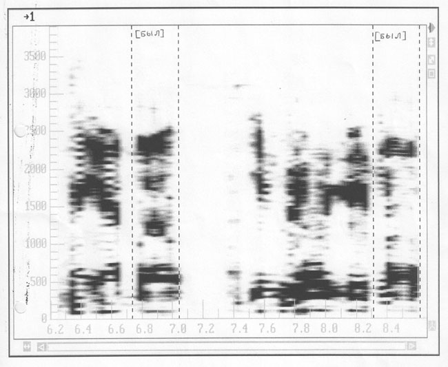 График трехмерного спектра мощности аномального голоса «Joker» (ось ординат – время, ось абсцисс – звуковая частота, оттенки серого цвета – мощность звука в относительных единицах). В предложении выделено в двух местах одинаковое слово «БЫЛ», трехмерный о