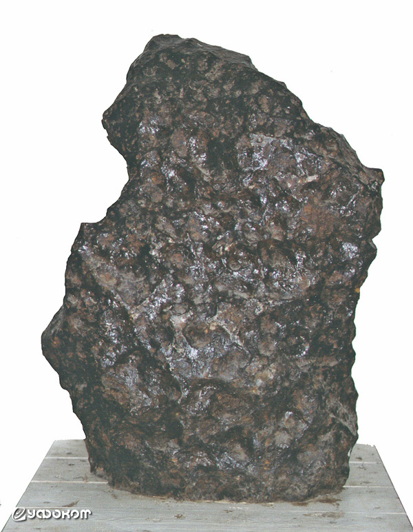 Метеорит Гресск. Фото В. Винокурова. 
