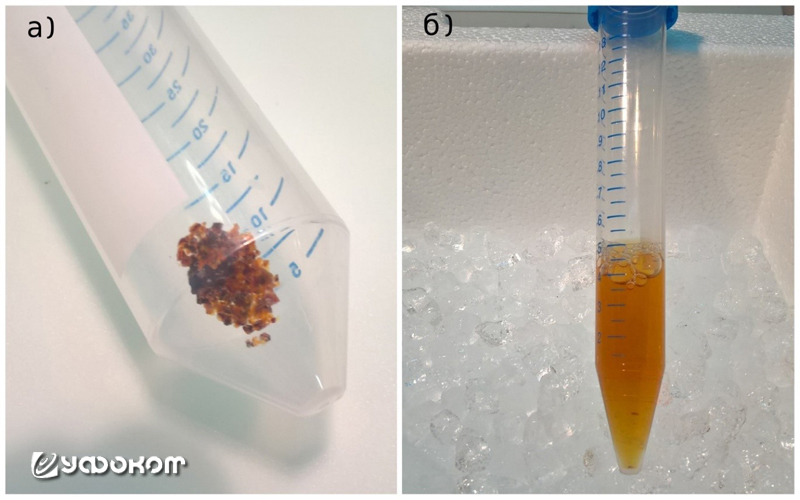 Рис. 5. Внешний вид образца после очистки в виде гранулоподобных частиц (а) и в растворённом состоянии (б).