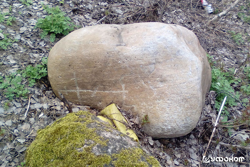 Единственный надмогильный камень с голгофским крестом на кладбище д. Красница Быховского района. Фото автора, 2018 год.
