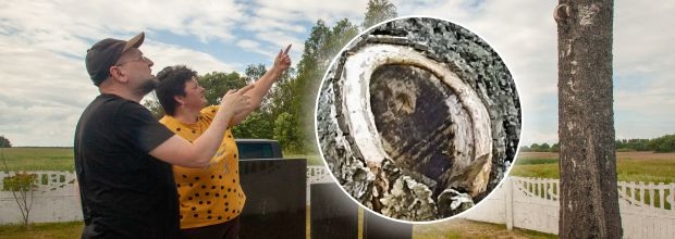 Нерукотворный лик у деревни Добрынь: два года спустя