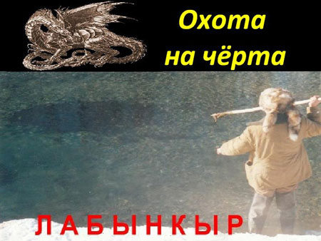 Как ни старались, хищника мы не поймали. Пока оно ведет с нами в счете 0:1 (оно съело нашу собаку). Но эта история, надеемся, еще не закончена, следующий ход - за нами...