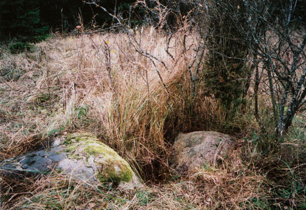 Камни в урочище Дранина (д. Любки, Вилейский р-н, Минская обл.). Фото Л. В. Дучиц (из архива этно-исторического центра «Явар»). Публикуется впервые.