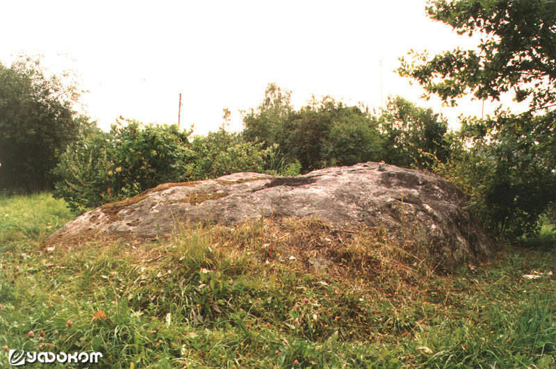 Камень-стол в д. Язно Миорского р-на Витебской обл. Фото В. Ф. Винокурова.