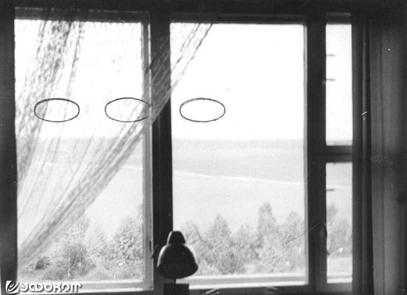 Фото из окна квартиры Светланы С., которая наблюдала за окном несколько светящихся овалов (Минск, 1987 год). 
