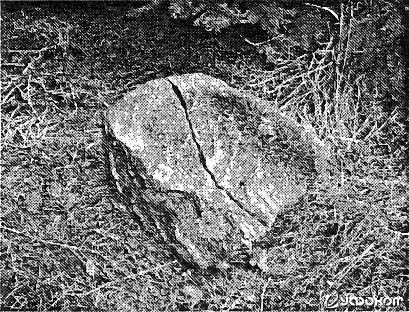 Половина корытоподобного камня-жертвенника на вершине городища около д. Даневцы, Поставский р-н [26: 43].