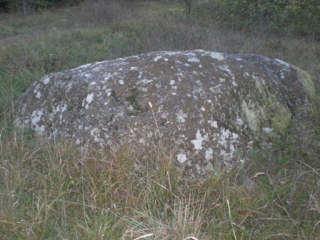Перунов камень у д. Товкини (фото В. Акулова).