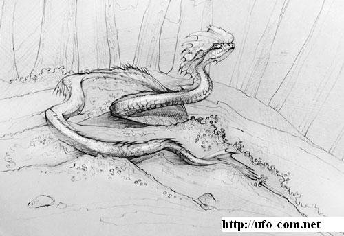Рисунок 4. Реконструкция гребнистой змеи. Выполнила Е. Шарафетдинова [16].