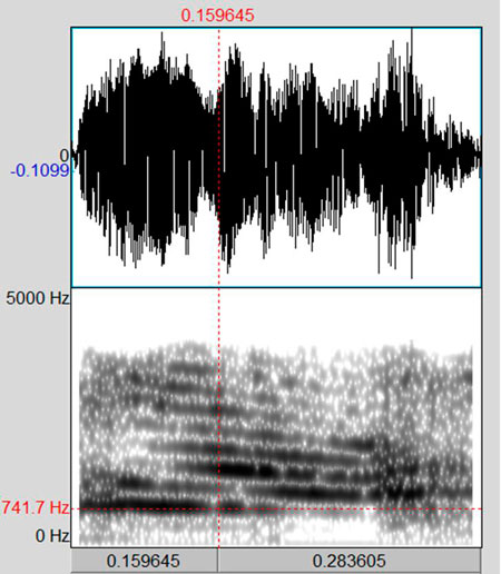 Рис. 3.6. Спектограмма постороннего «голоса» при записи беседы одного из исследователей «Космопоиска» с фокальным лицом Марией (04 декабря 2007 г.).
