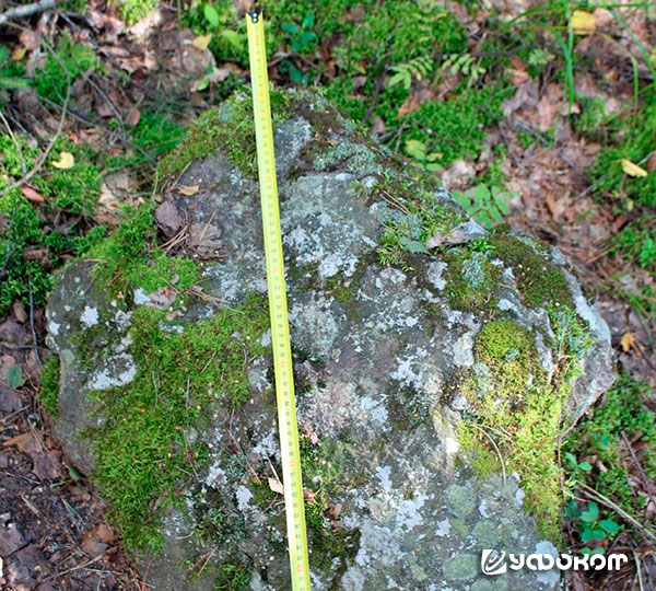 Рис. 2. Фрагмент креста, найденного при обследовании каменного комплекса в Заозерье. Фото А. Супиталева.
