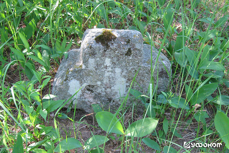 Каменный крест на кладбище в д. Клетное Быховского района. Фото автора, 2017 год.