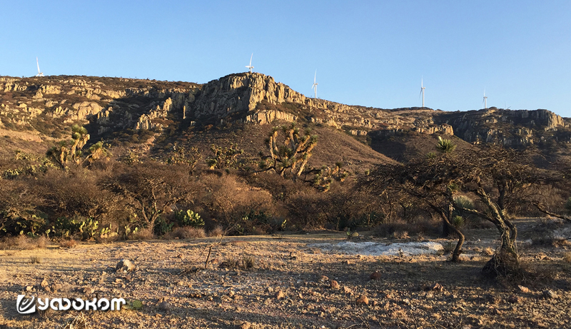 Вершина холма Эль Торо с ветряками.