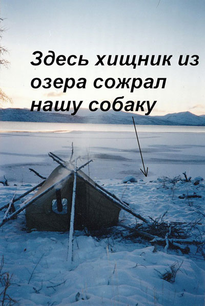 Утром прошел снег и припорошил всю гладь спокойного озера. Но пройдет всего несколько часов, поднимется слабый ветерок и вода снова вскроется ото льда...