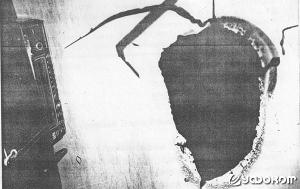Ф16 – Комната Славы, с неким предметом, лежащим на табуретке (ксерокопия утерянного фотоснимка). Ф16 – Комната Славы, с неким предметом, лежащим на табуретке (ксерокопия утерянного фотоснимка).