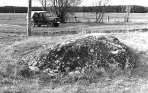 Камень-следовик рядом с Перуновой горой в Лепельском районе.