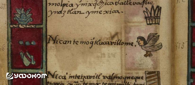 Codice Aubin. Надпись на языке науатль, записанная латиницей, гласит: «Nican temoque tlacahuillome» («Спустились летающие люди»).