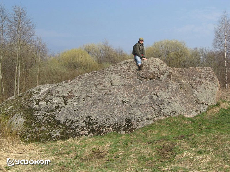 Фото 6. Великий или Чертов Камень (д. Горки, Шумилинский р-н). Фото с сайта: www.veloby.net.