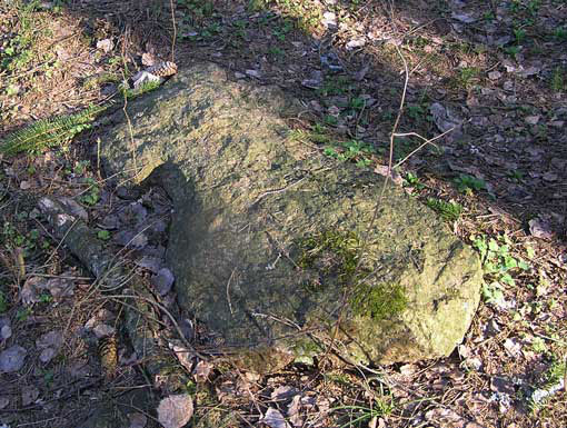 Поваленный камень в д. Янковичи Россонского района. Камень напоминает фигуру женщины и отождествляется местными жителями с «каменной бабой».