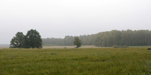 Панорама места события: вид на дубы у озера