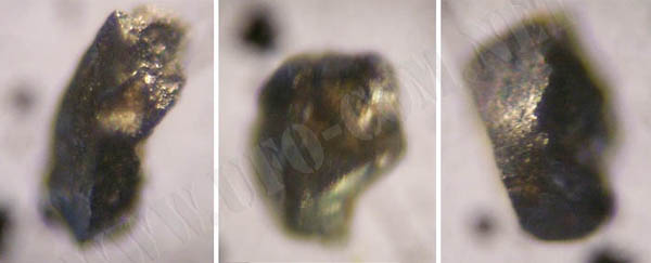 Исследуемый материал из образцов грунта под микроскопом