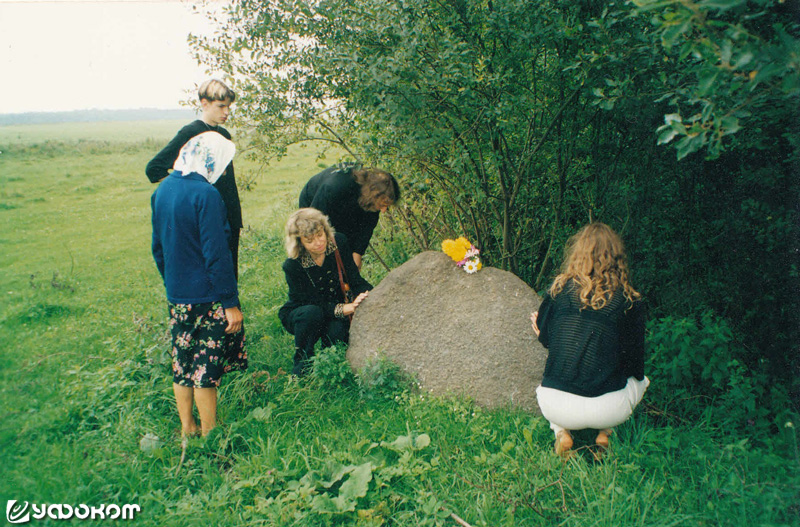 Камень у д. Заболоть Узденского р-на, который вылечивал домашних животных. Фото И. Климкович.