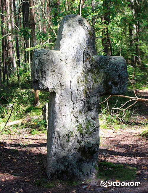 Рис. 1. Каменный крест в рост человека в лесу возле Заозерья самый большой, но не единственный на этом месте. Фото А. Супиталева.