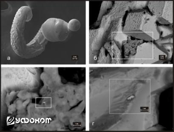 Рис. 17. Микроспираль самородного вольфрама (а) с включениями вольфрамита (б), золота (в) и аурамальгамы (г) (по Е. И. Медведеву).