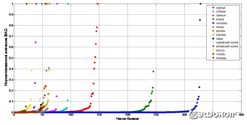 Рис. 6. Результаты анализа тёмно-красных выделений с иконы Казанской Божьей Матери на видовую принадлежность. 