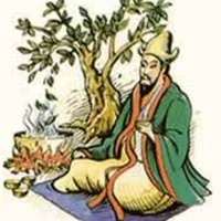 Чай: история, традиции и культура вкуса