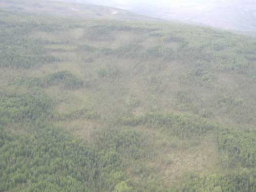 Вид с воздуха – вывалы в лесу на Витиме. Фотография публикуется впервые.