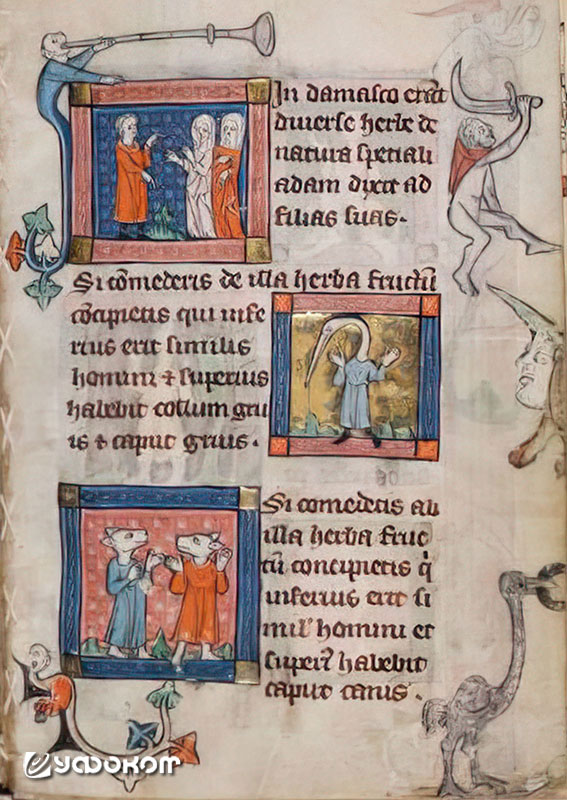 «Rothschild Canticles», рукопись XIII в. Ниже человека-журавля изображены кинокефалы (псоглавцы). 