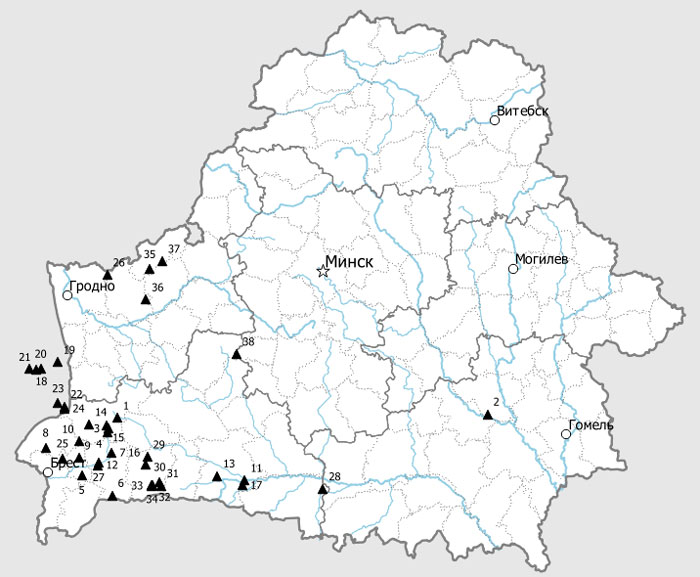 Обновления икон на территории Беларуси, произошедшие в 1923–1939 годах.