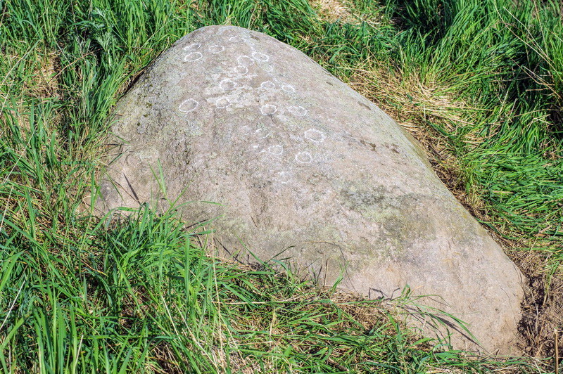 Камень у д. Селец. Фото А. Зайцева.