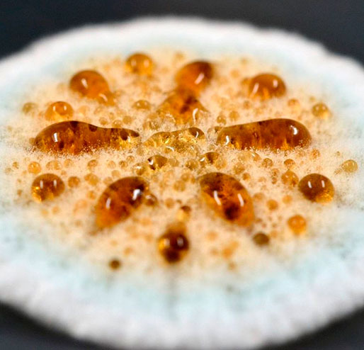 Колония плесени Penicillium citrinum, основного производителя микотоксина цитринина. Фото Эллен Кристенсен. Колония плесени Penicillium citrinum, основного производителя микотоксина цитринина. Фото Эллен Кристенсен.